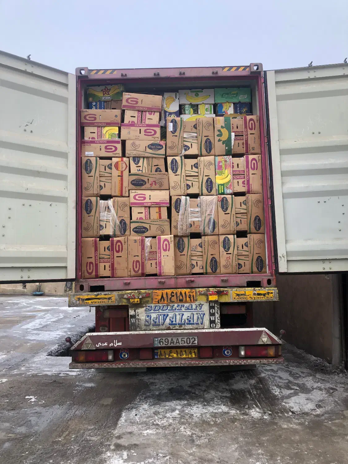 کارتن موزی یا موز|عمده‌فروشی|اردبیل, |دیوار