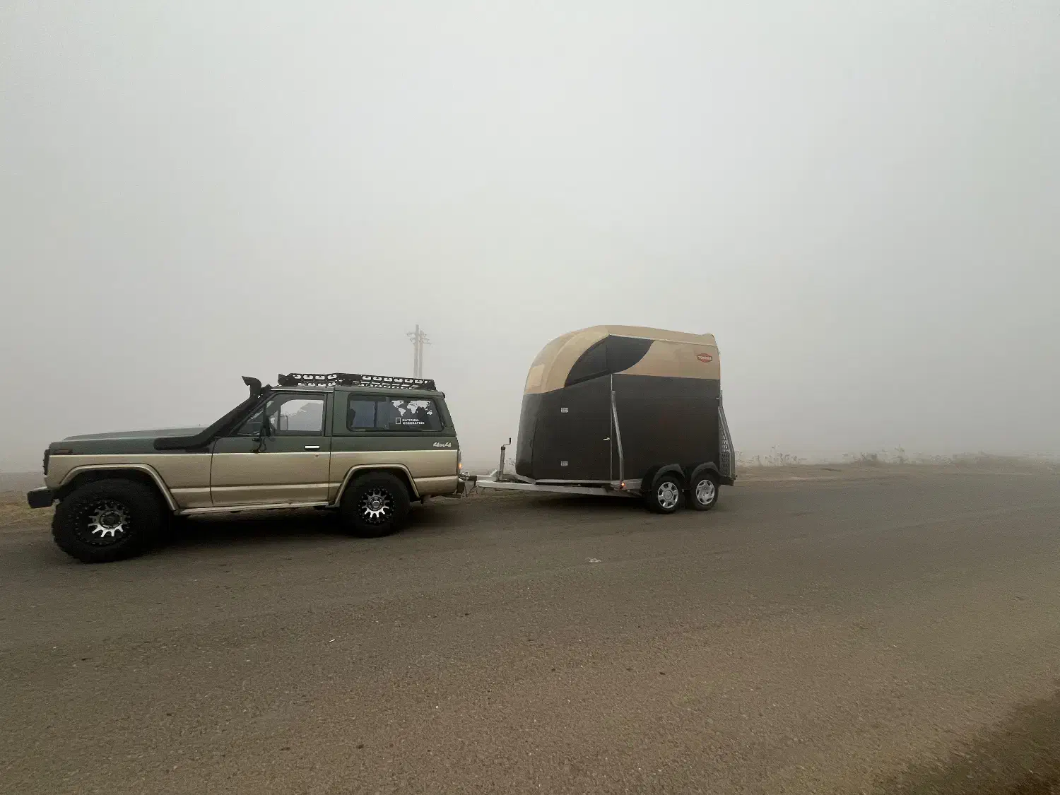 اسب کش به تمام نقاط|اسب و تجهیزات اسب‌سواری|اندیشه, اندیشه فاز ۳|دیوار