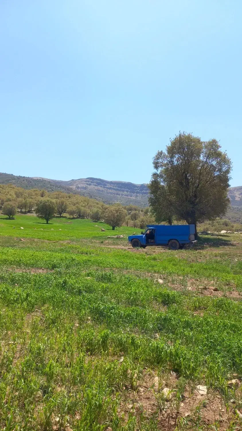 نیسـان آبـی|خودرو سواری و وانت|خرم‌آباد, |دیوار