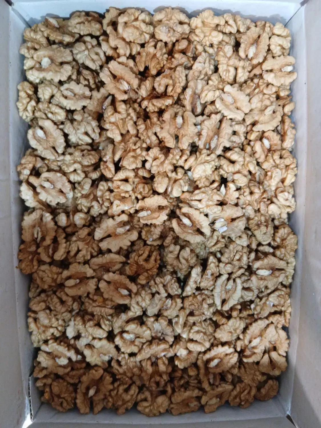 مغز گردو و گردو باپوست|عمده‌فروشی|تهران, هرندی|دیوار