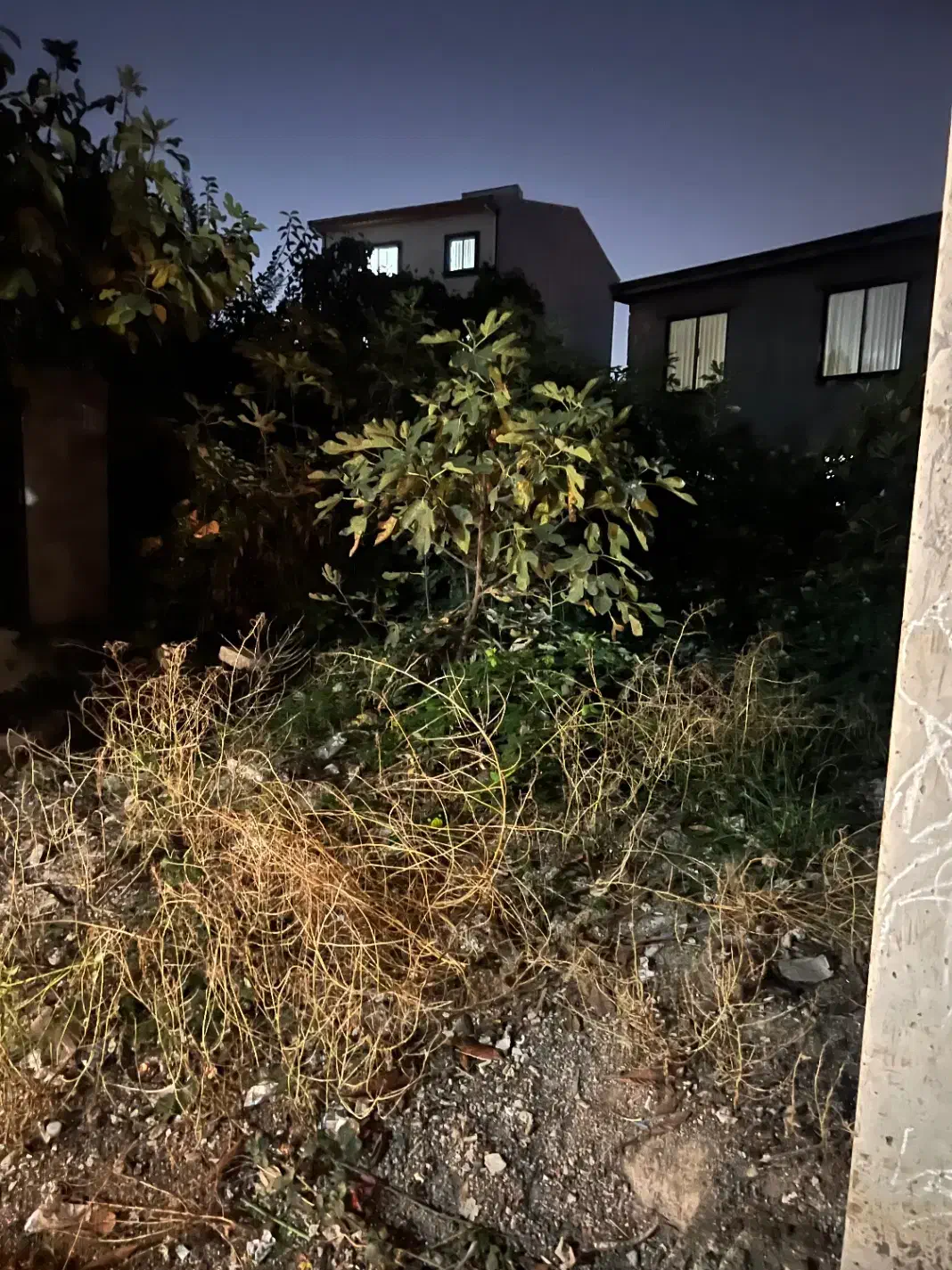 زمین ۱۶۸ متر|فروش زمین و ملک کلنگی|رشت, اسماعیل آباد|دیوار