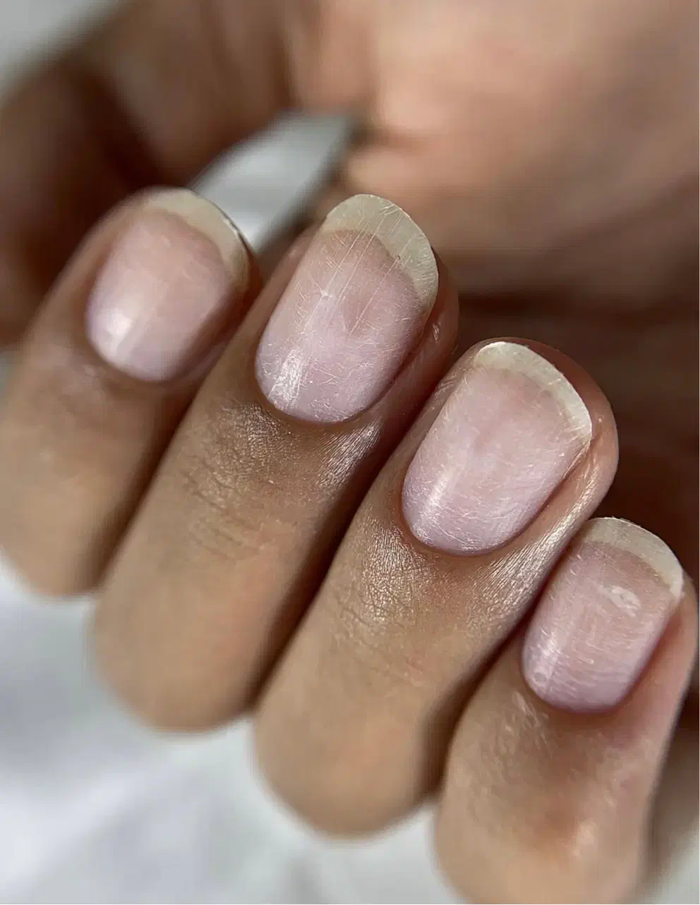 آموزش حرفه ای و تضمینی و با مدرک معتبر ناخن|خدمات آموزشی|شاهرود, |دیوار