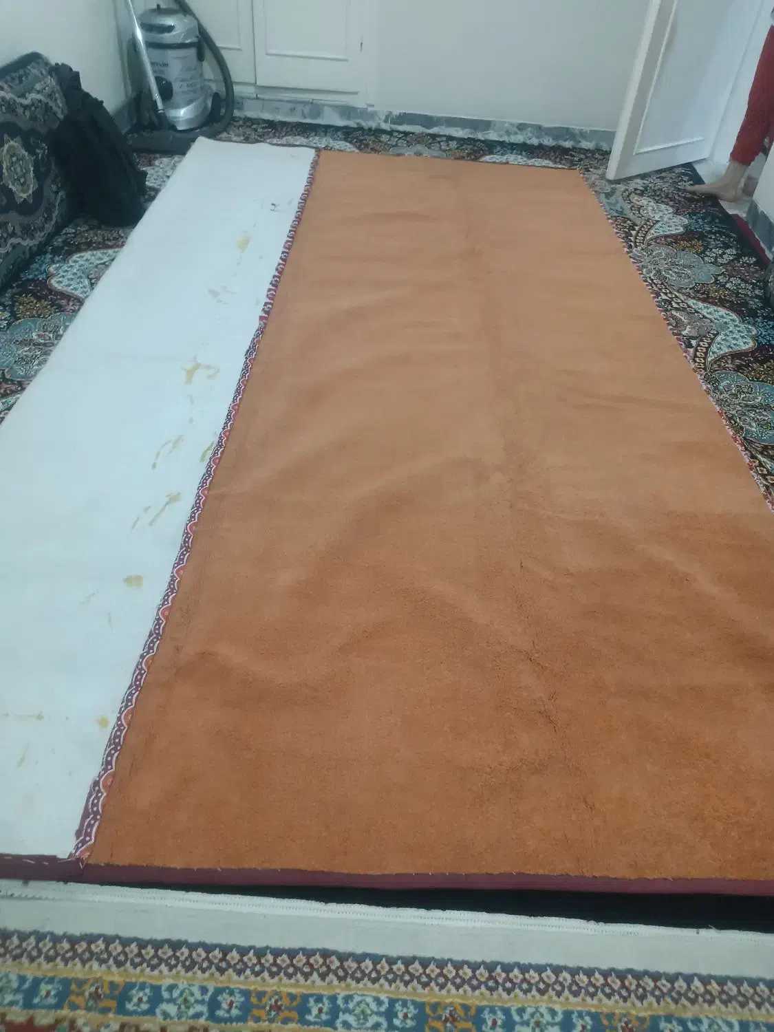 پالاز موکت|موکت|خرم‌آباد, |دیوار