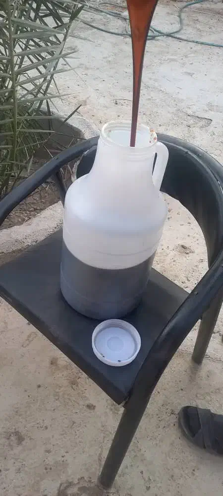 شیره خرما|خوردنی و آشامیدنی|وحدتیه, |دیوار