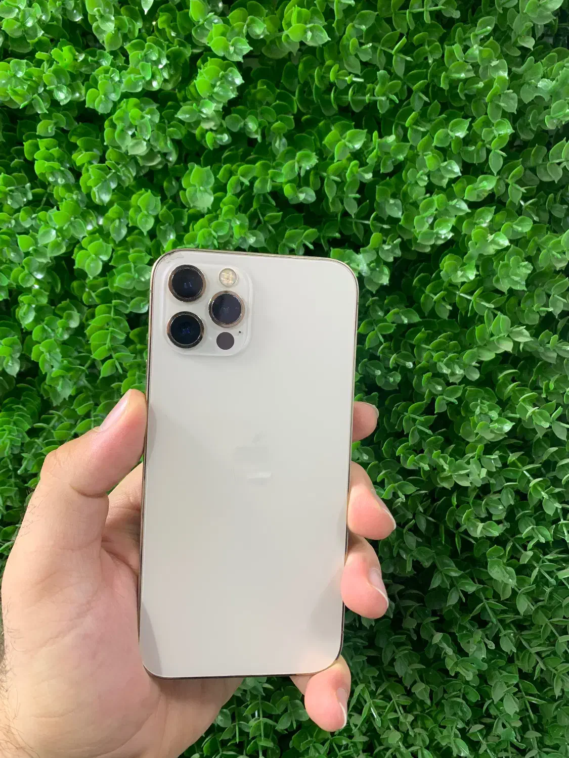 Iphone 12 pro|موبایل|ارومیه, |دیوار