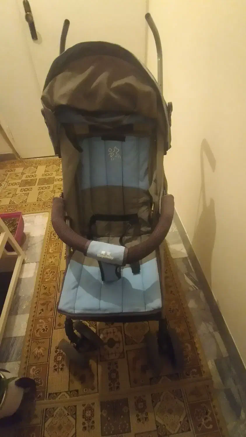 کالسکه|کالسکه و لوازم جانبی|همدان, |دیوار