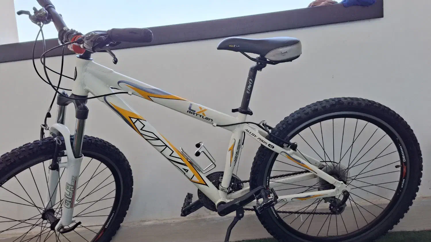 دچرخه VIVA خیلی حرف ای کل وسایل فابریک|دوچرخه، اسکیت، اسکوتر|اندیشه, اندیشه فاز ۳|دیوار