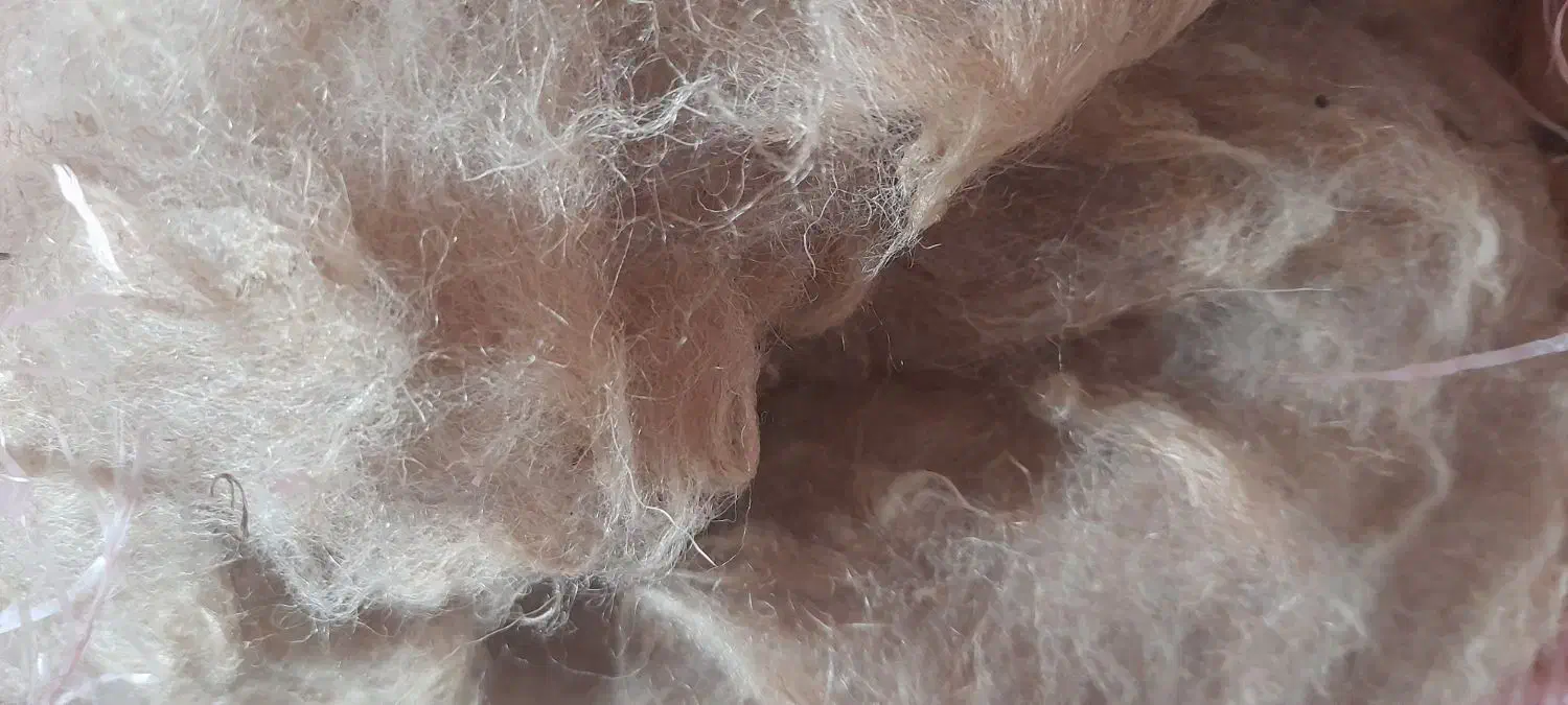 پشم گوسفندی تمیز وشسته شده|رختخواب، بالش، پتو|قشلاق دشت, |دیوار