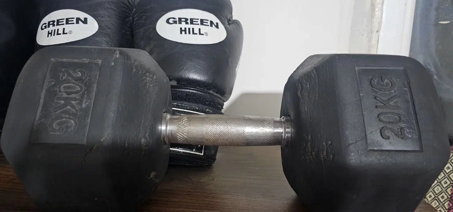 دمبل ۲۰ کیلویی|تجهیزات ورزشی|هشتگرد, شهرک آپادانا|دیوار