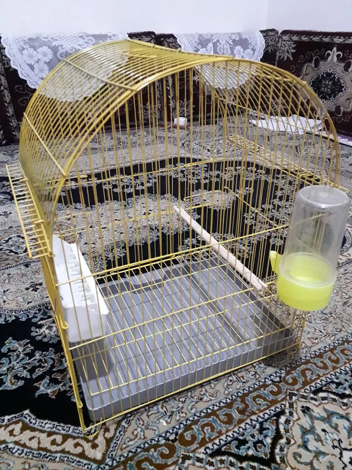 قفس پرنده|لوازم جانبی حیوانات|سنندج, |دیوار