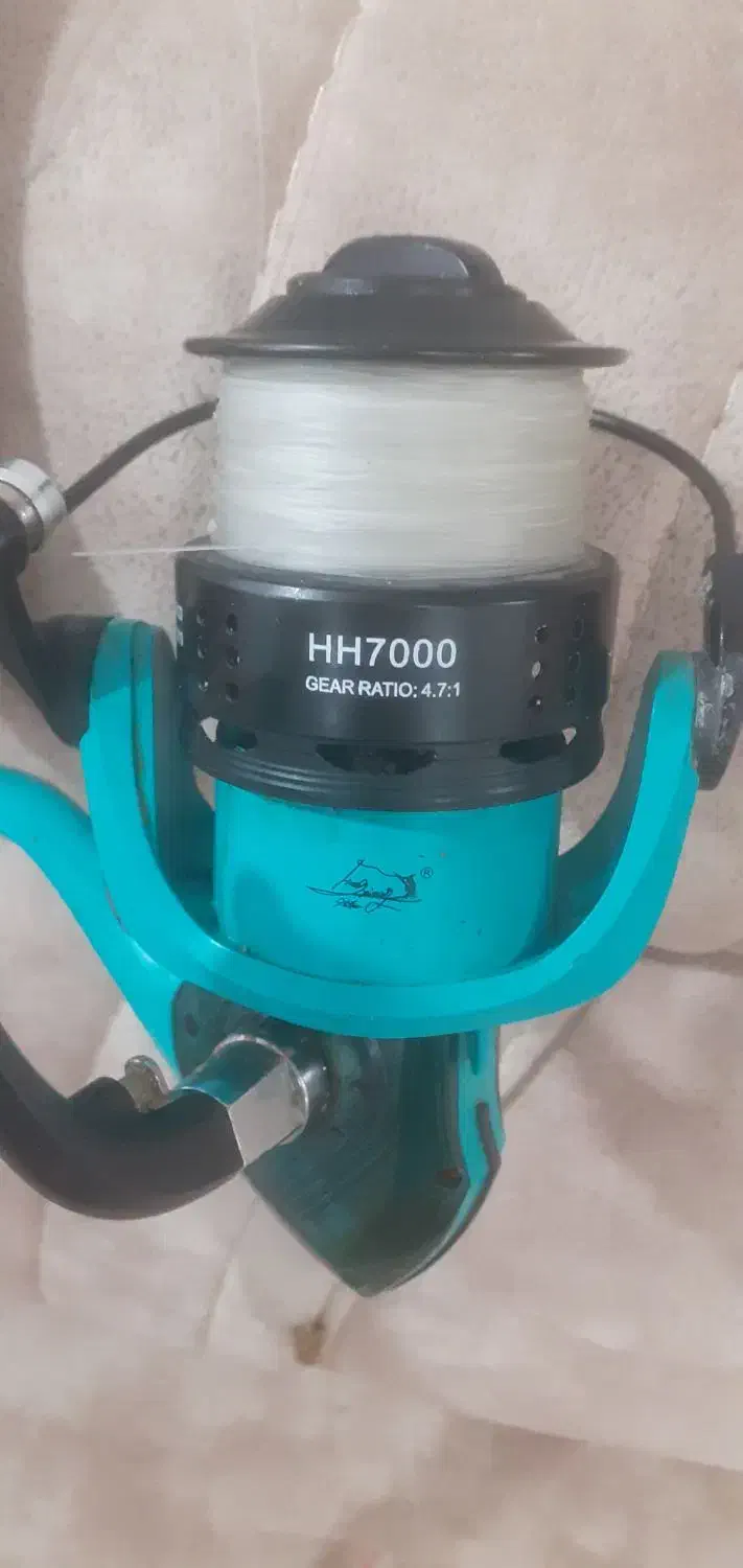 لنسر|ماهیگیری|دورود, |دیوار