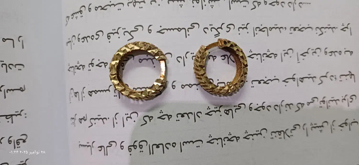 گل گوش کلیبسی|جواهرات|جهرم, |دیوار