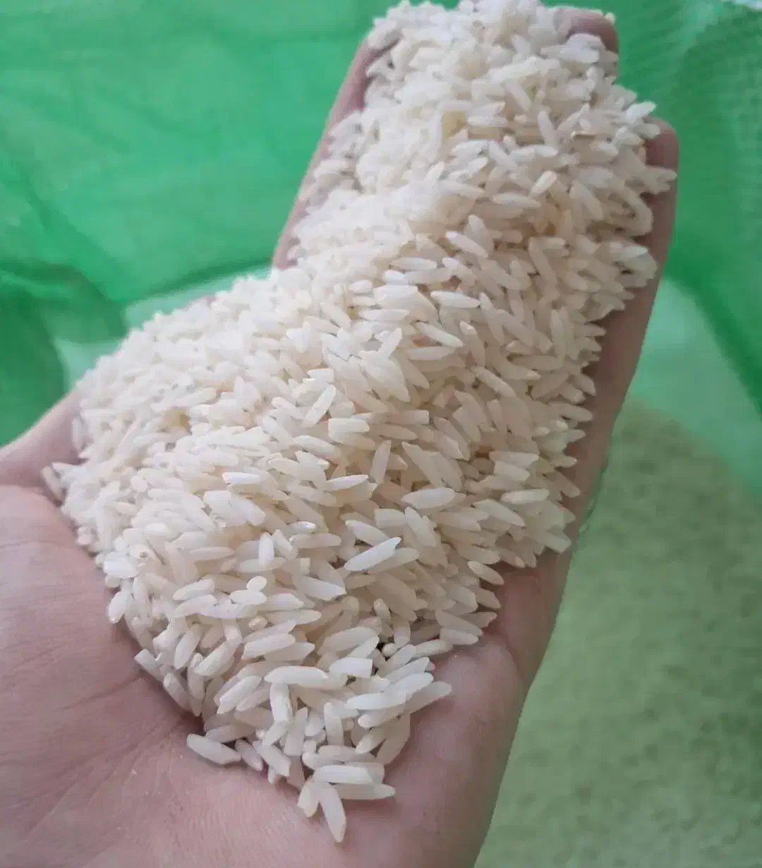 برنج هاشمی اورگانیک|خوردنی و آشامیدنی|اسالم, |دیوار