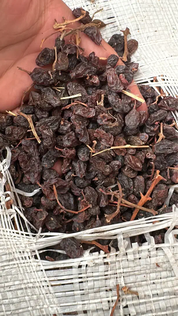 کشمش|خوردنی و آشامیدنی|قزوین, |دیوار