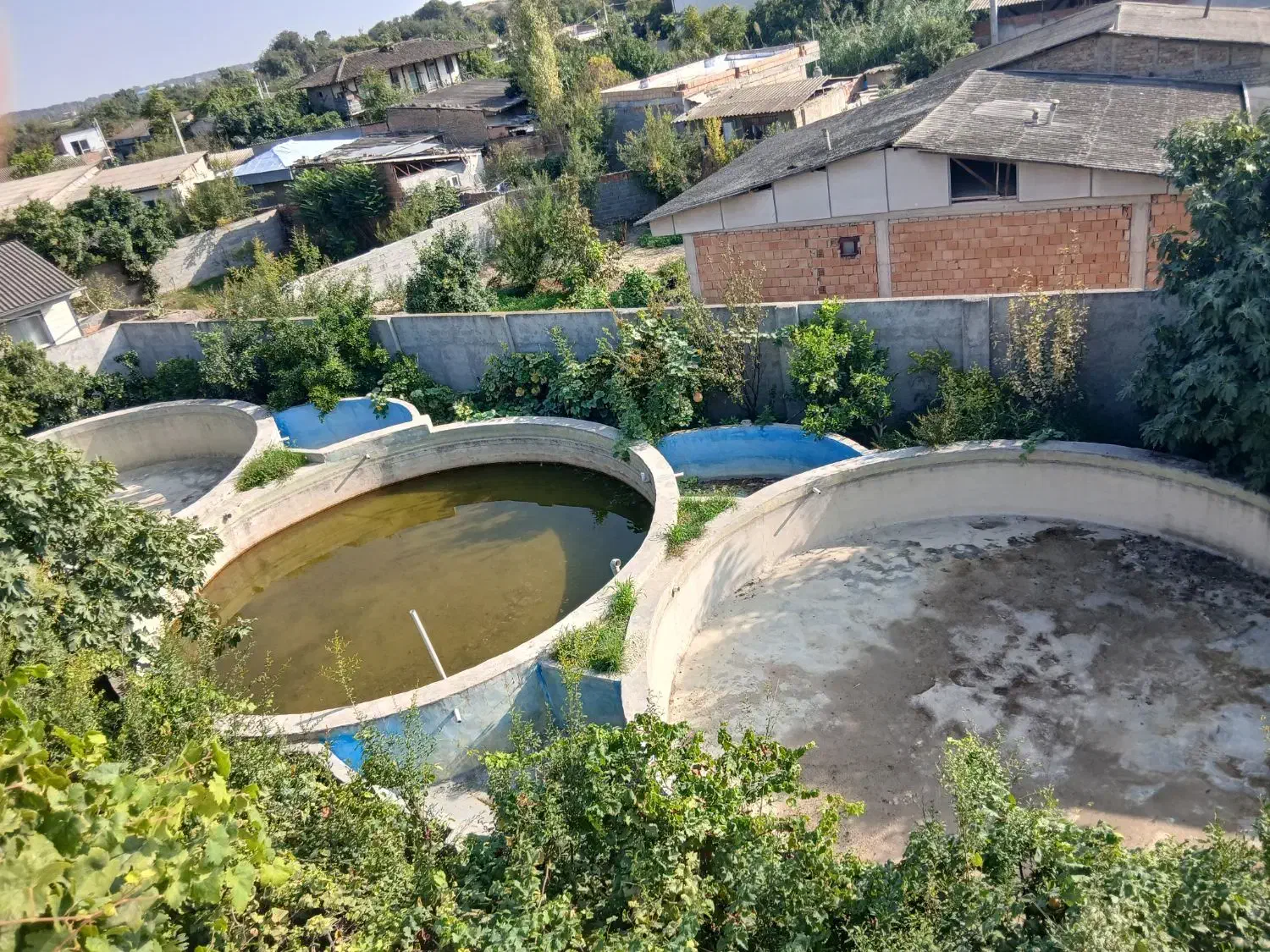 پرورش ماهی|استخدام صنعتی، فنی، مهندسی|کردکوی, |دیوار