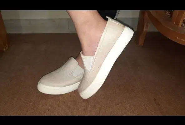 کفش کالج|کیف، کفش، کمربند|اصفهان, مولوی|دیوار