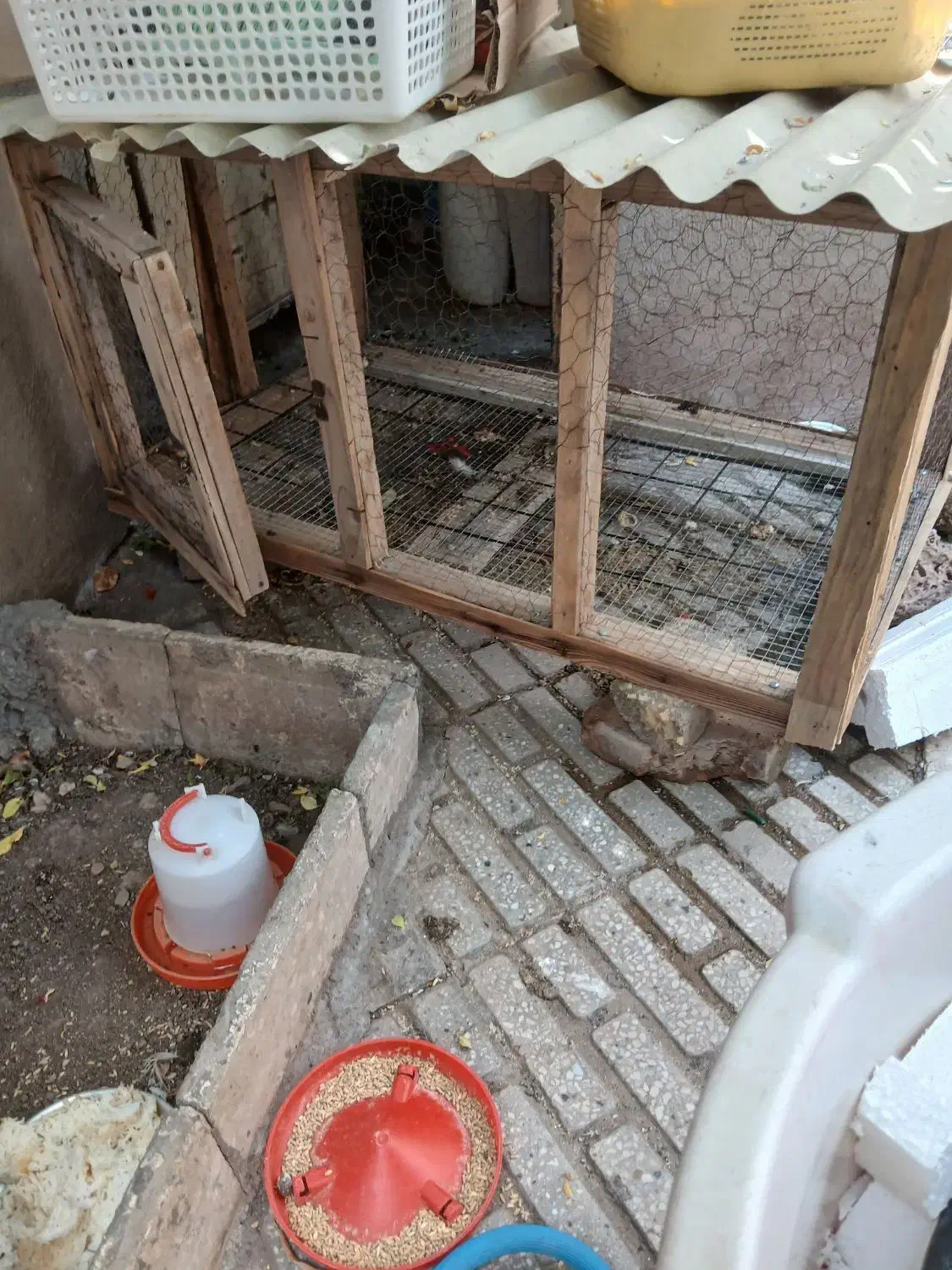 قفس مرغ خروس|لوازم جانبی حیوانات|کرمانشاه, |دیوار