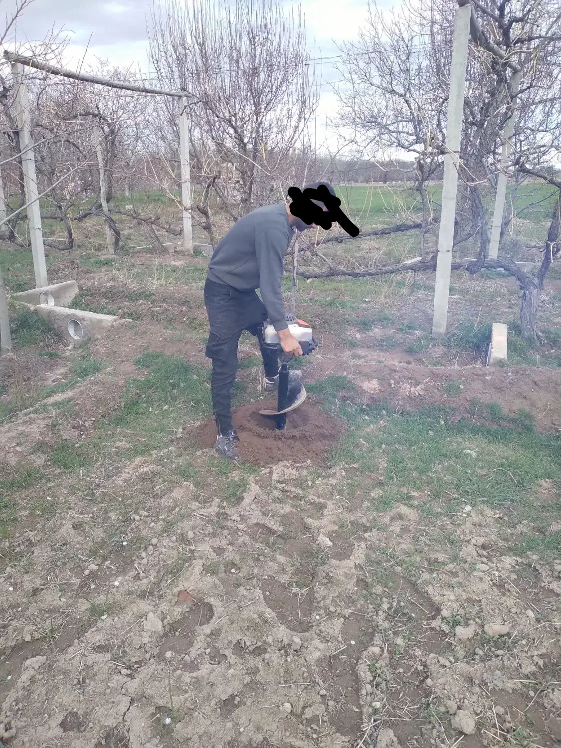 خدمات کشاورزی ابراهیمی|خدمات باغبانی و درختکاری|آذرشهر, |دیوار