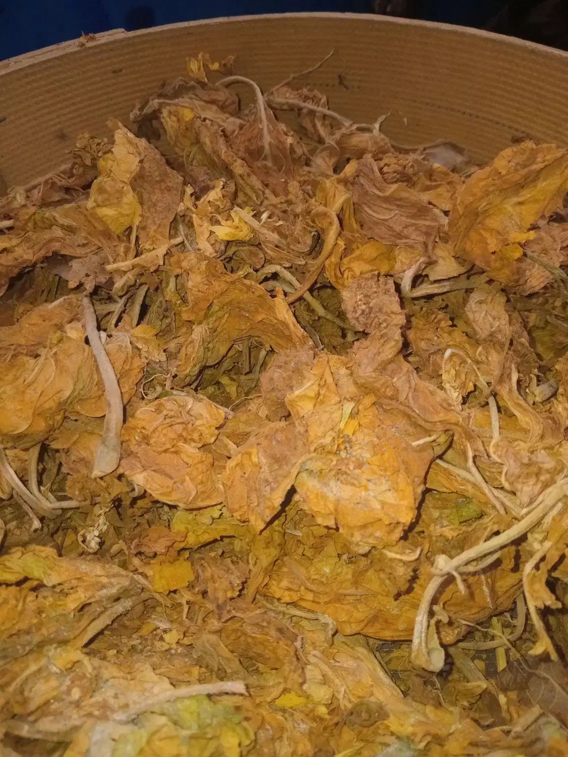 زغال( برگ تنبا کو سرخ)|عمدهفروشی|برازجان, |دیوار