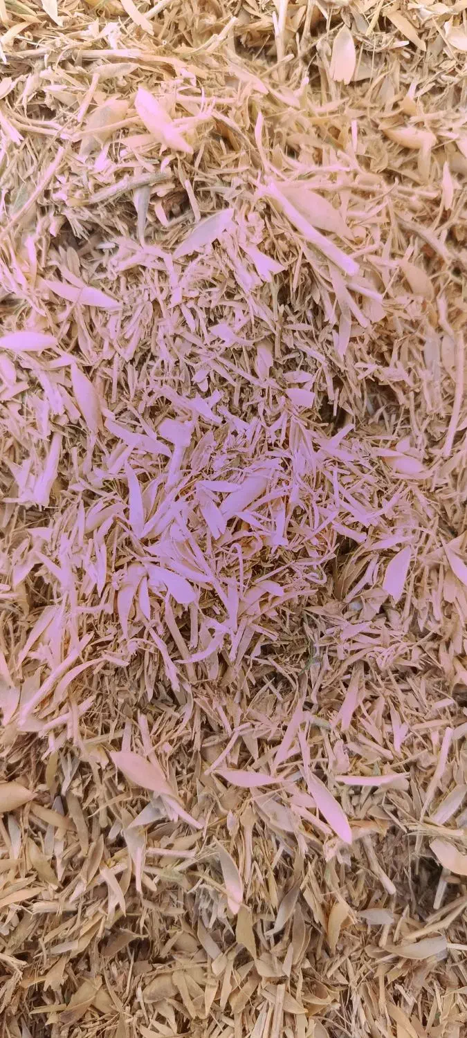 فروش کاه نخود|لوازم جانبی حیوانات|قیدار, |دیوار