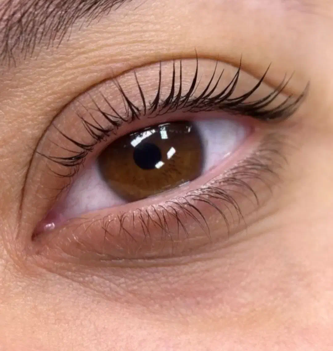 لیفت و لمینت مژه و ابرو با بهترین مواد لیمینیشن|خدمات آرایشگری و زیبایی|ری, دیلمان|دیوار