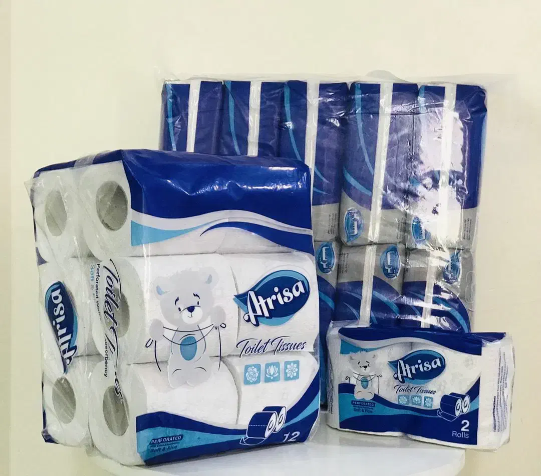 دستمال کاغذی اقتصادی|مواد شوینده و دستمال کاغذی|تهران, زیبادشت|دیوار