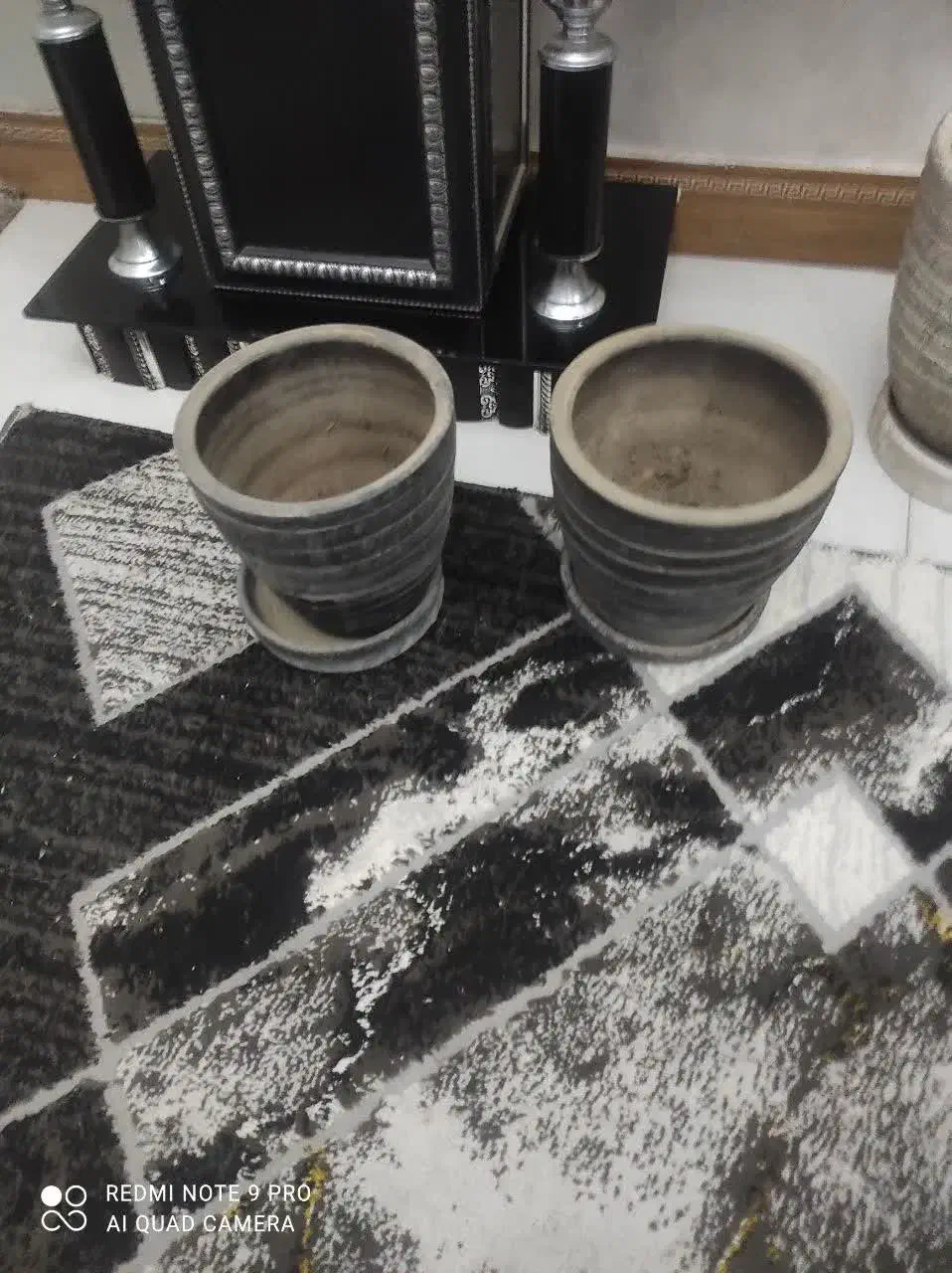 گلدون سفالی|گل و گیاه طبیعی|تهران, شهرک رضویه|دیوار