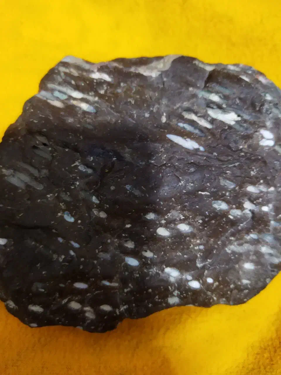 شهاب سنگ|کلکسیون اشیاء عتیقه|کرج, گوهردشت|دیوار