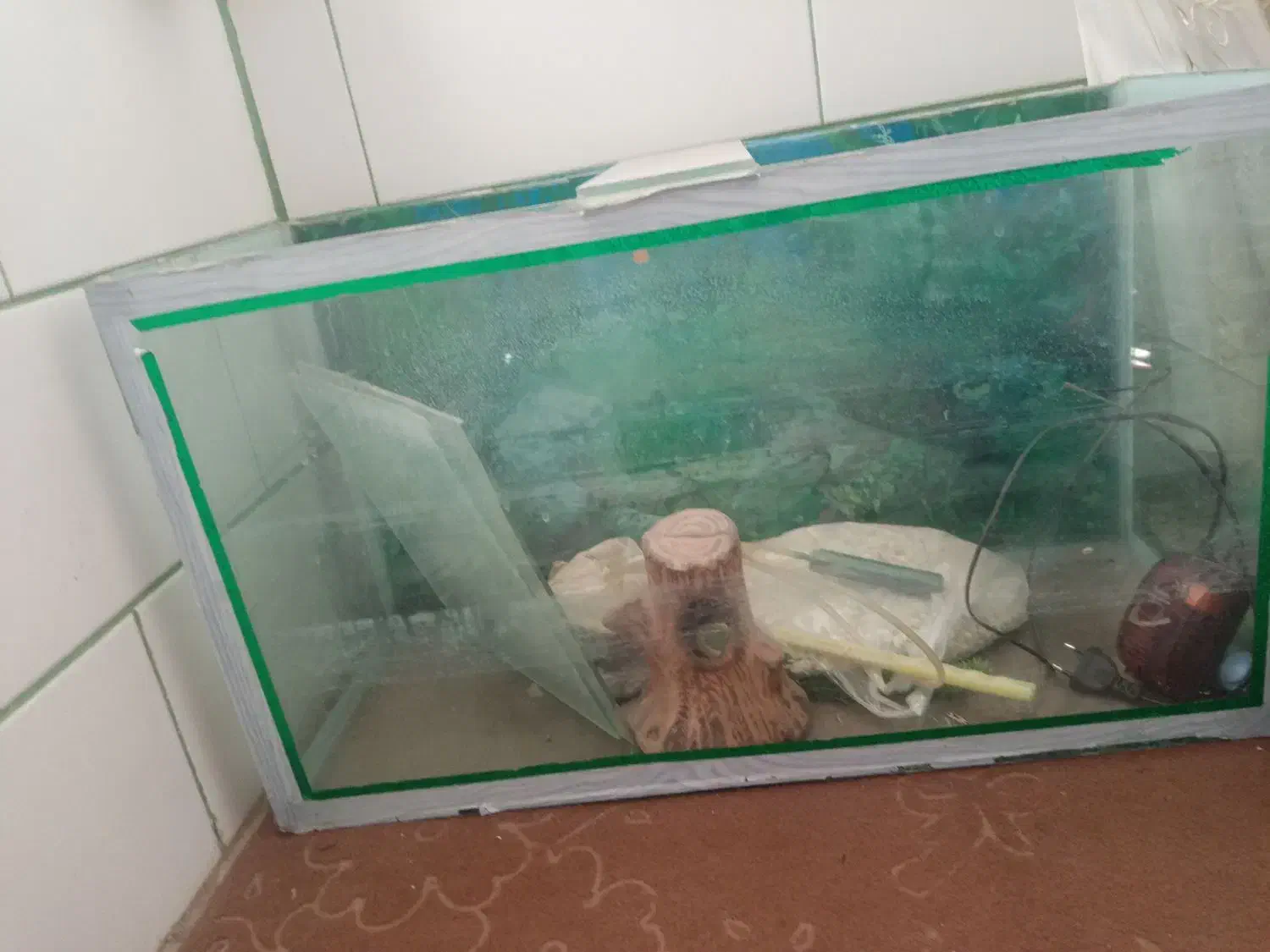 آکواریوم|ماهی|زرند, |دیوار