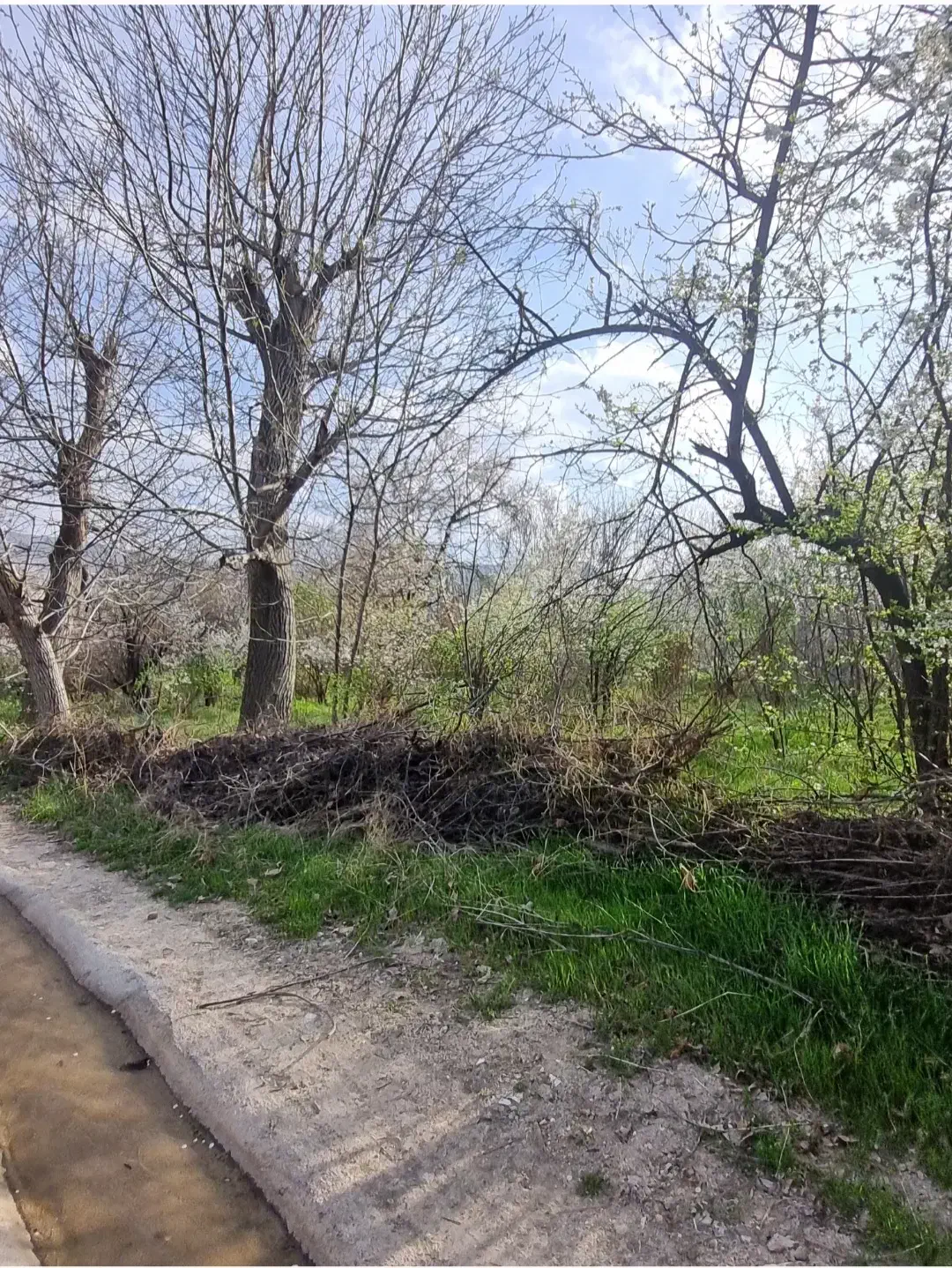 فروش باغ در روستای مزلقان|فروش زمین و ملک کلنگی|نوبران, |دیوار
