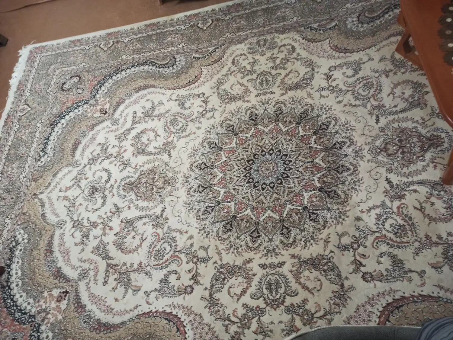 قالی ۱۲ متری|فرش|شهرکرد, |دیوار