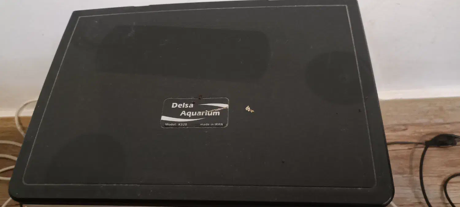 آکواریوم|ماهی|رشت, استادسرا|دیوار