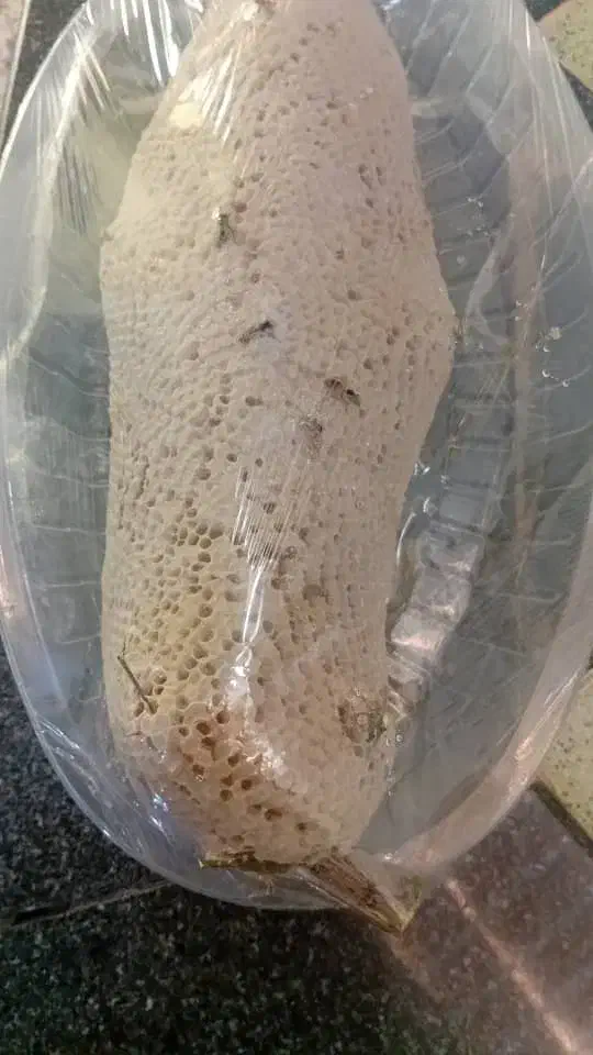 عسل کوهی|خوردنی و آشامیدنی|شیراز, میرزاکوچک خان|دیوار