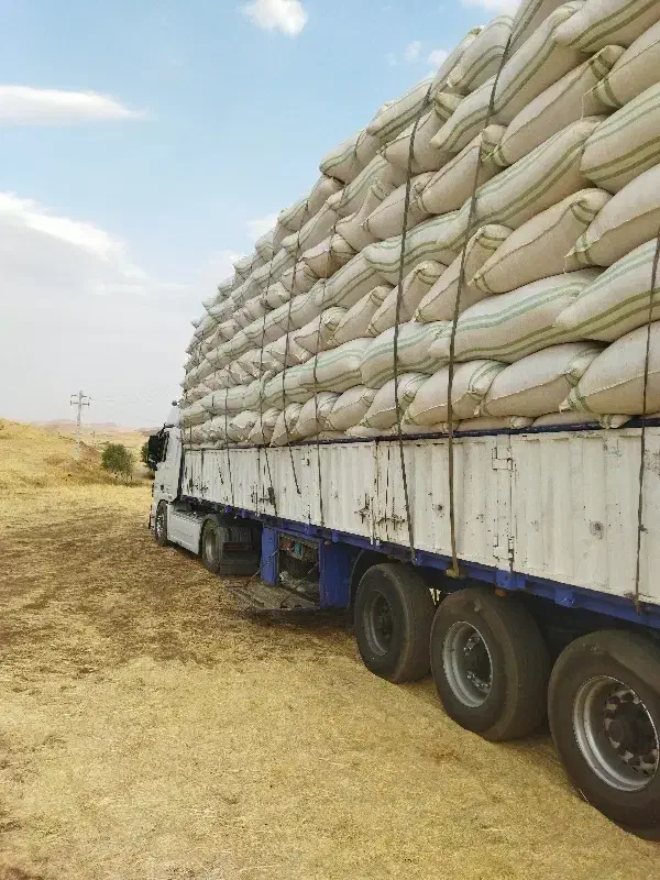 نیروی کاه بار زن میخوام|استخدام صنعتی، فنی، مهندسی|دهگلان, |دیوار