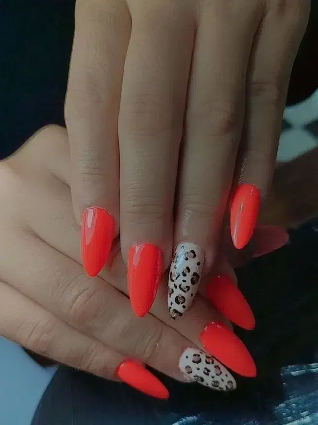 کاشت ناخن|خدمات آرایشگری و زیبایی|خوی, |دیوار