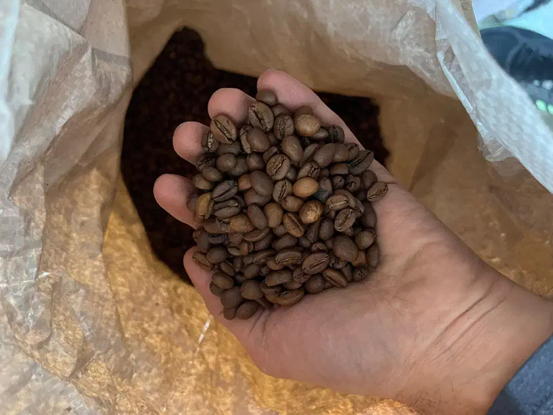 قهوه|عمده‌فروشی|تهران, خاک سفید|دیوار