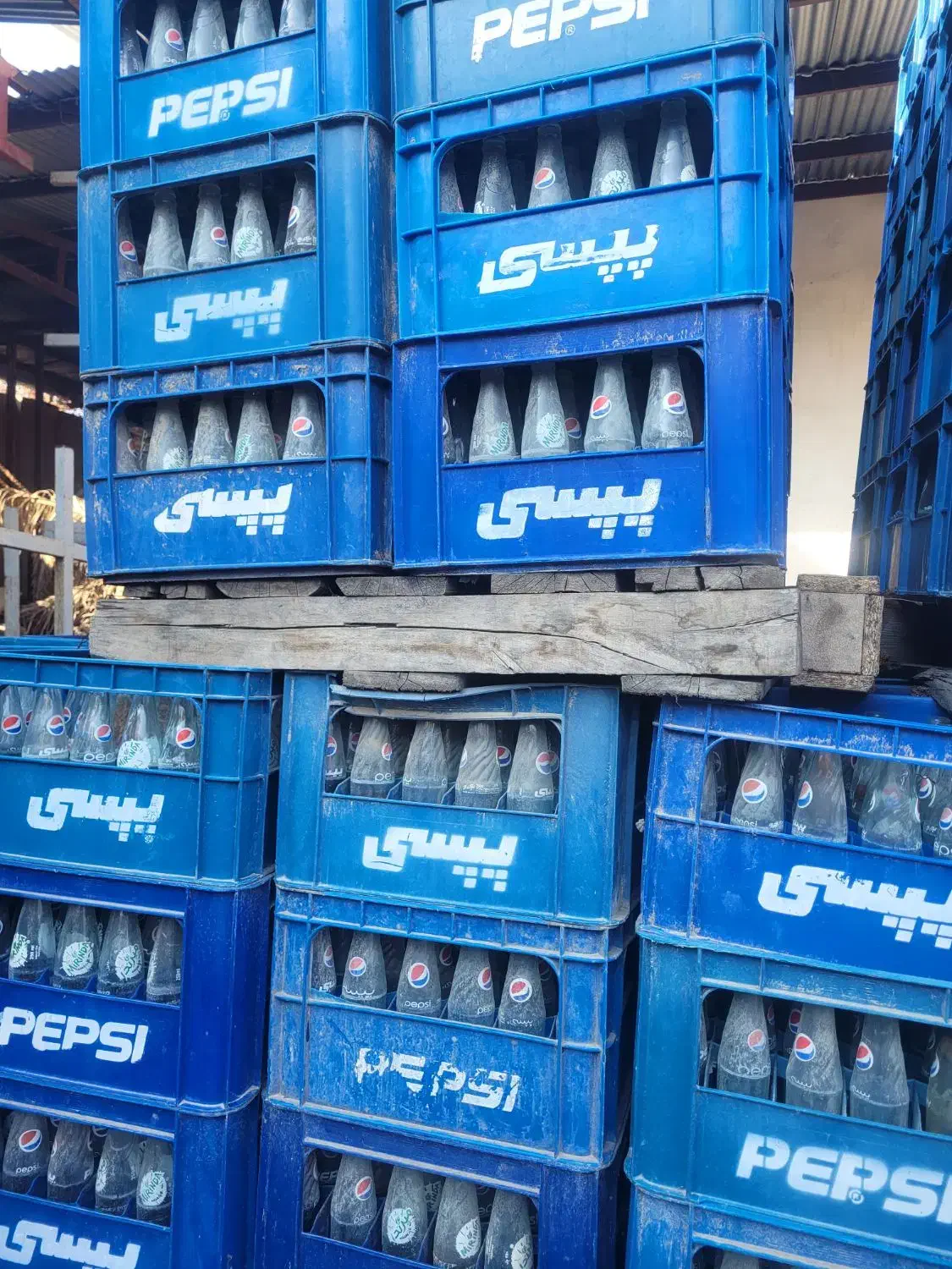 جعبه خالی نوشابه پپسی|ظروف نگهدارنده، پلاستیکی، یکبارمصرف|آزادشهر, |دیوار