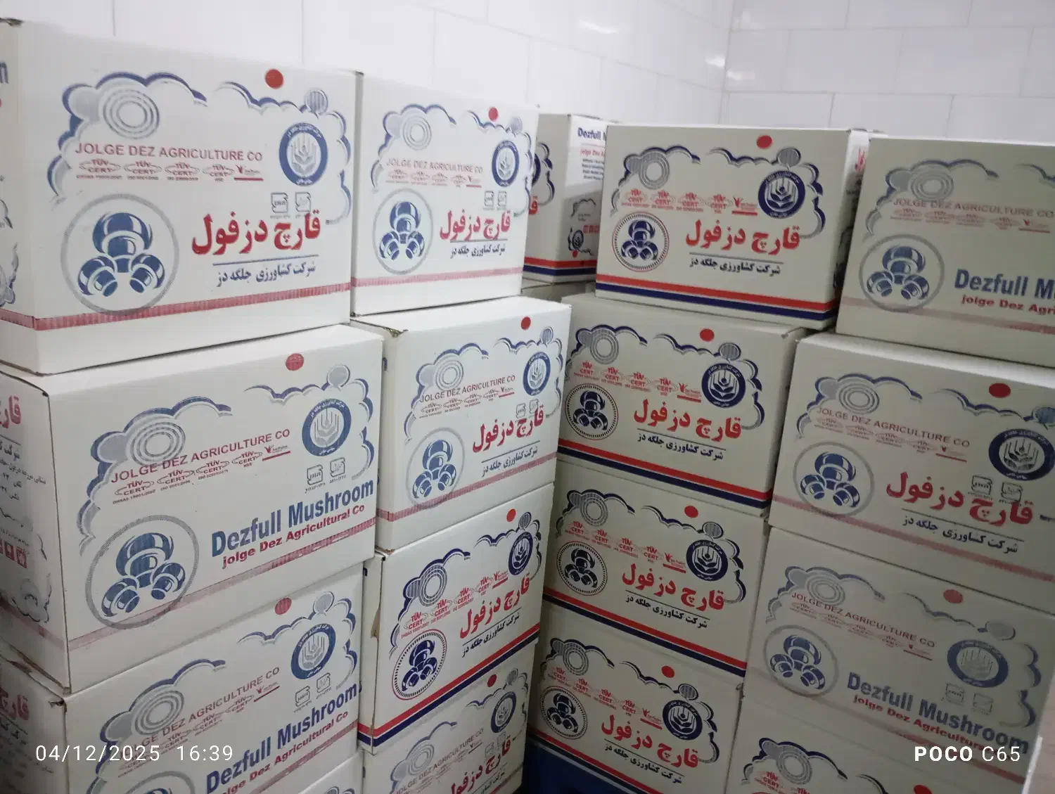 قارج درجه یک|خوردنی و آشامیدنی|اندیمشک, |دیوار