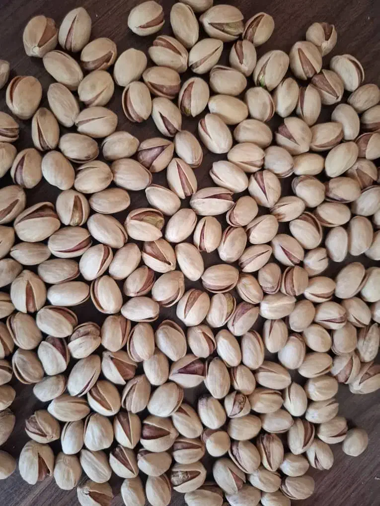 پسته|خوردنی و آشامیدنی|فارسان, |دیوار