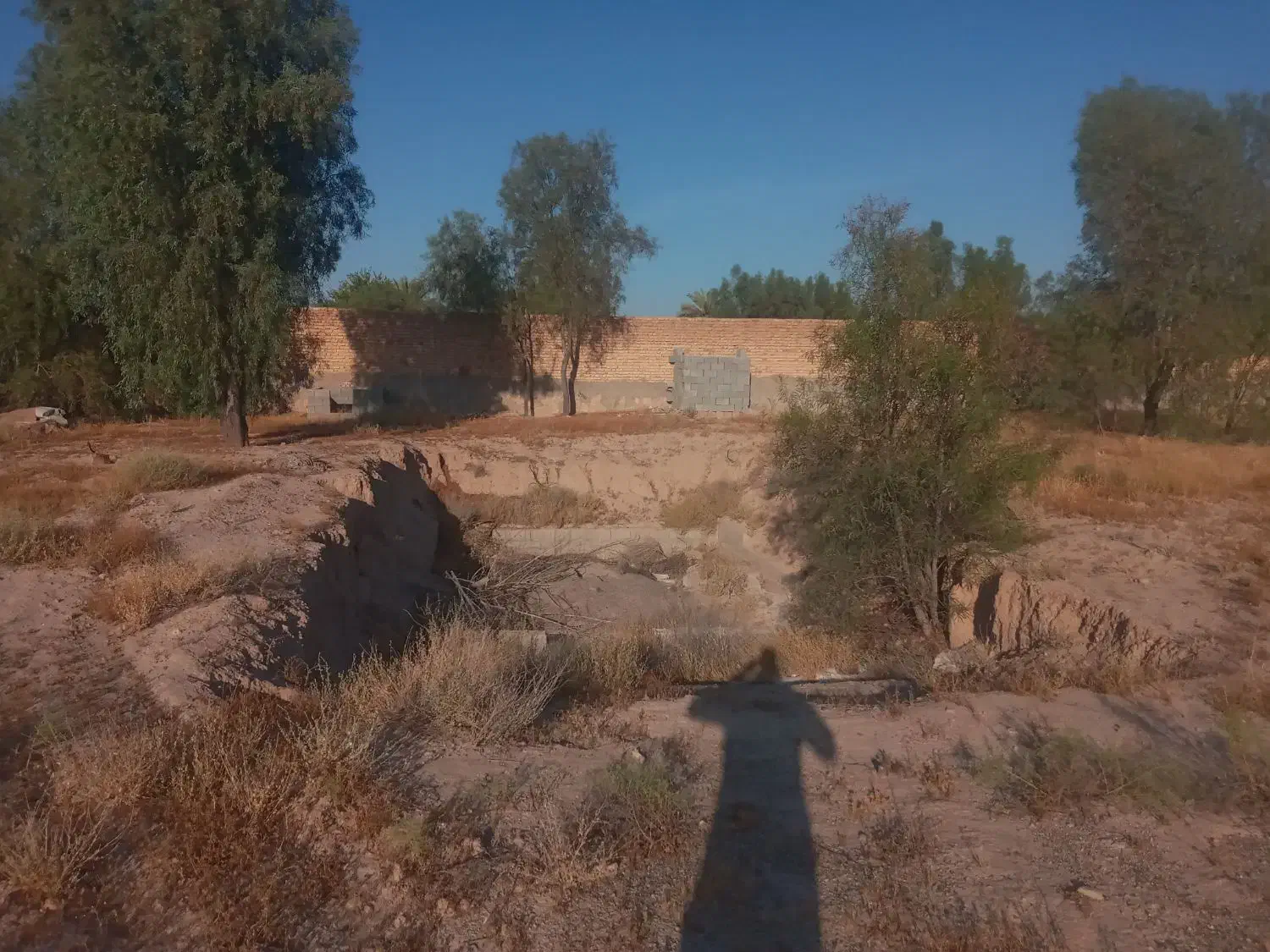 زمین باغی|فروش دفتر صنعتی، کشاورزی، تجاری|فسا, |دیوار