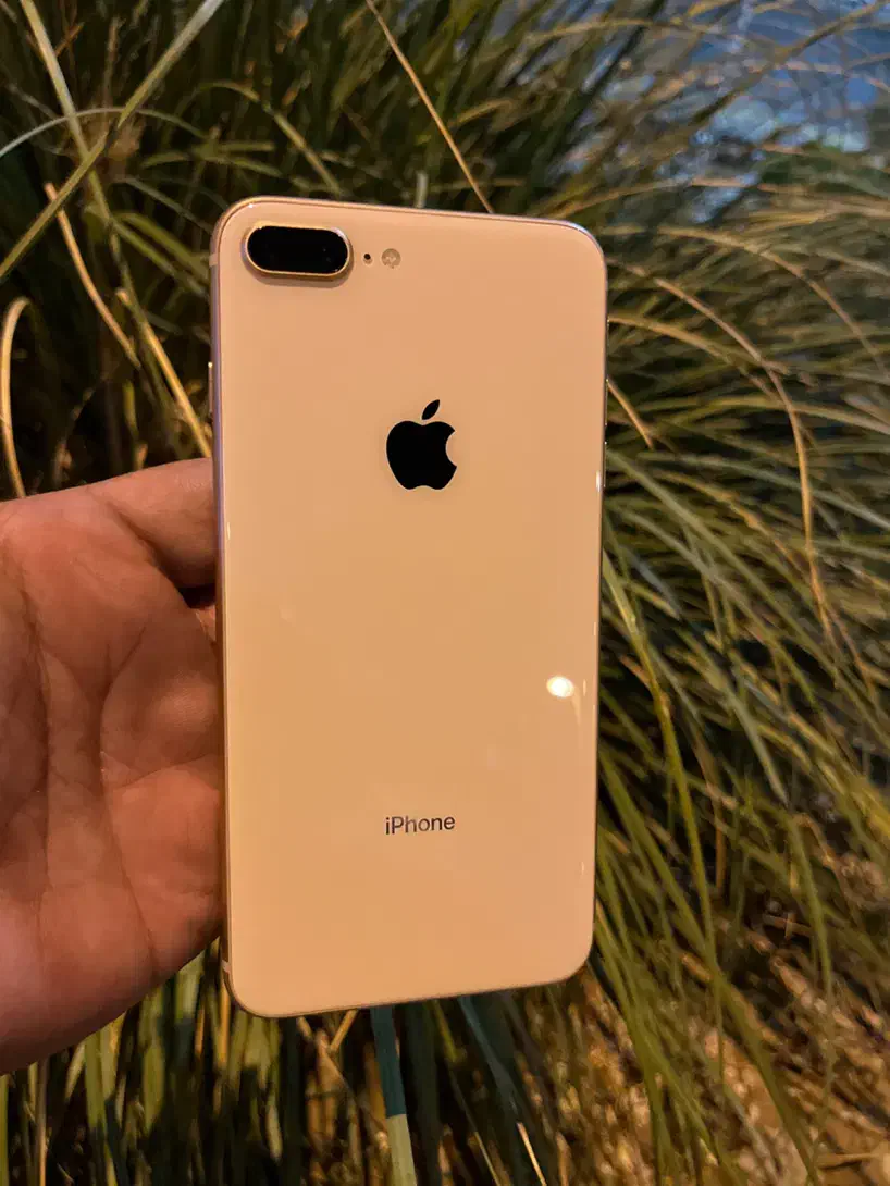 ۸پلاس گلدفابریک|موبایل|تهران, سیمای ایران|دیوار