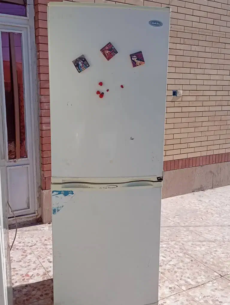 یخچال سالم|یخچال و فریزر|نرماشیر, |دیوار