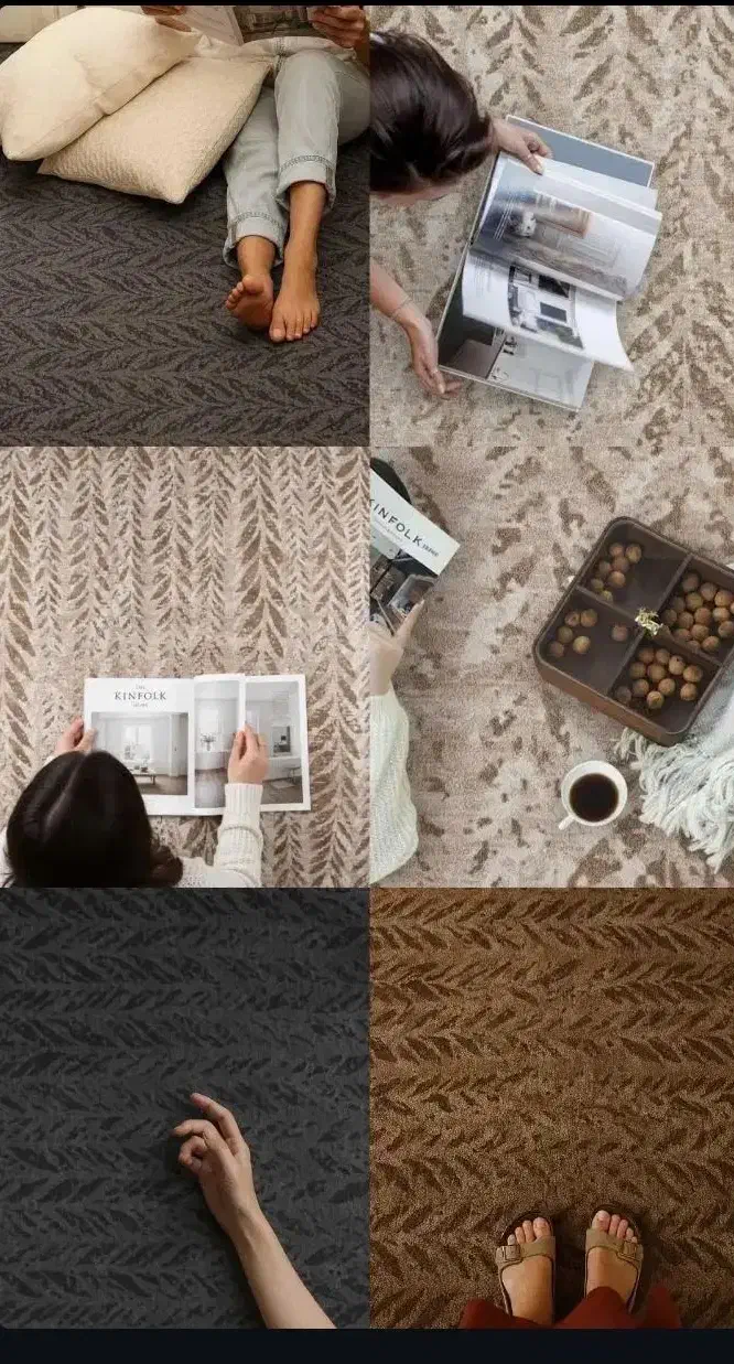 موکت ارزان شد فروشگاه موسوی|موکت|شیراز, بالا کفت|دیوار