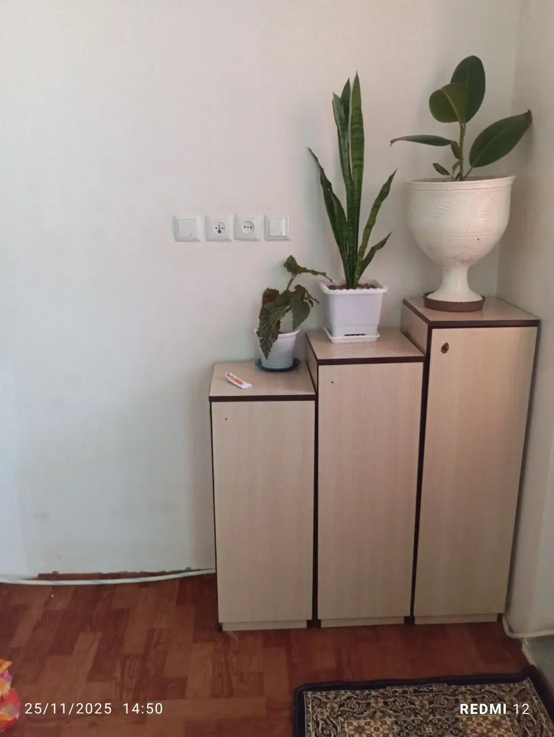 جا کفشی و بوفه|بوفه، ویترین، کنسول|هیر, |دیوار