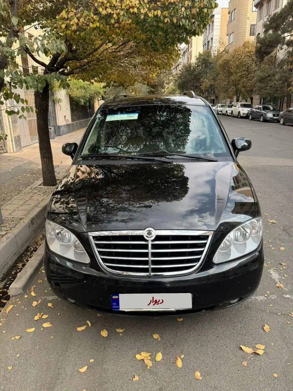 سانگ یانگ رودیوس استثنایی|خودرو سواری و وانت|تهران, نجات اللهی|دیوار