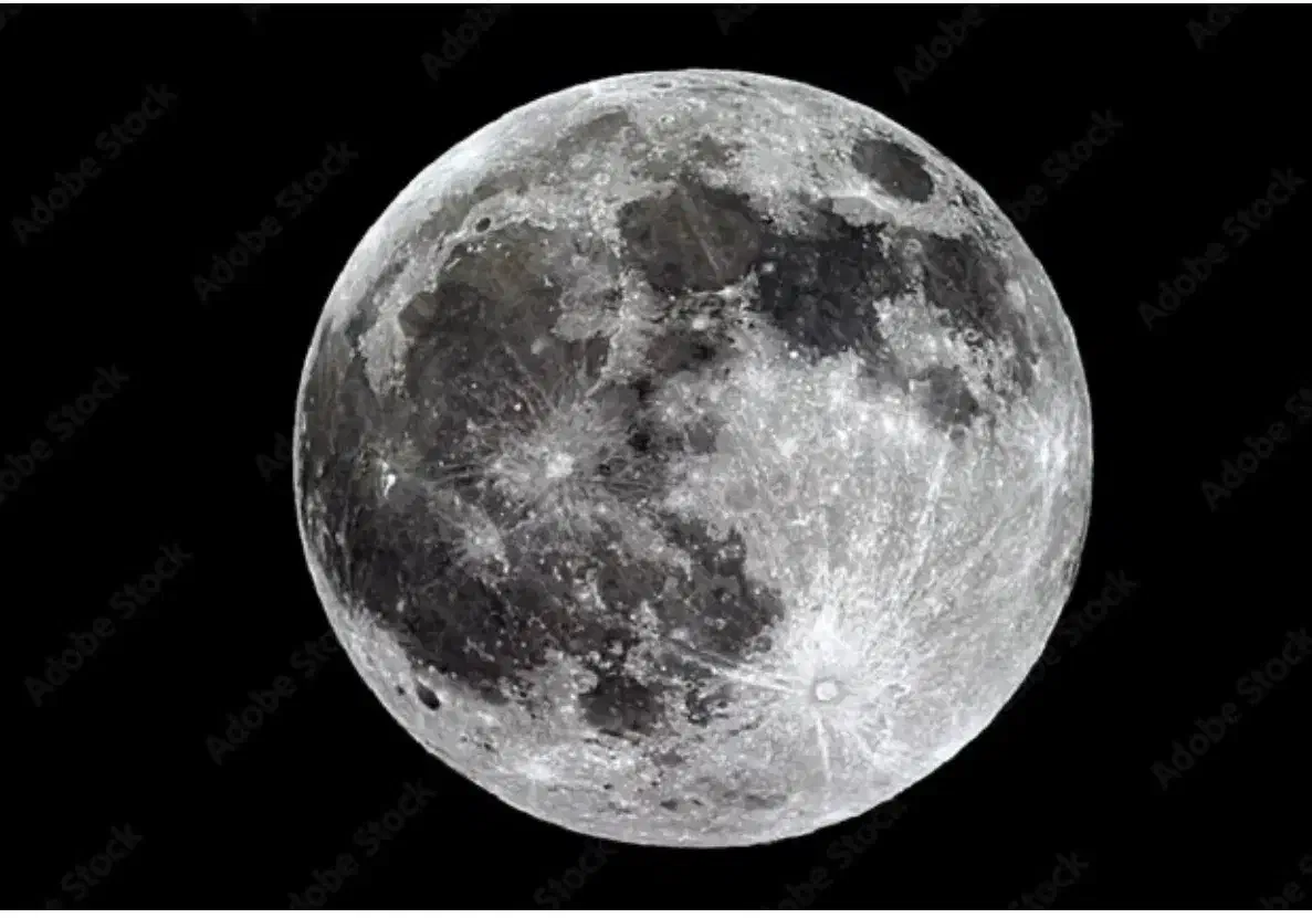 ویتر|استخدام خدمات فروشگاه و رستوران|تهران, شهرک شهید باقری|دیوار