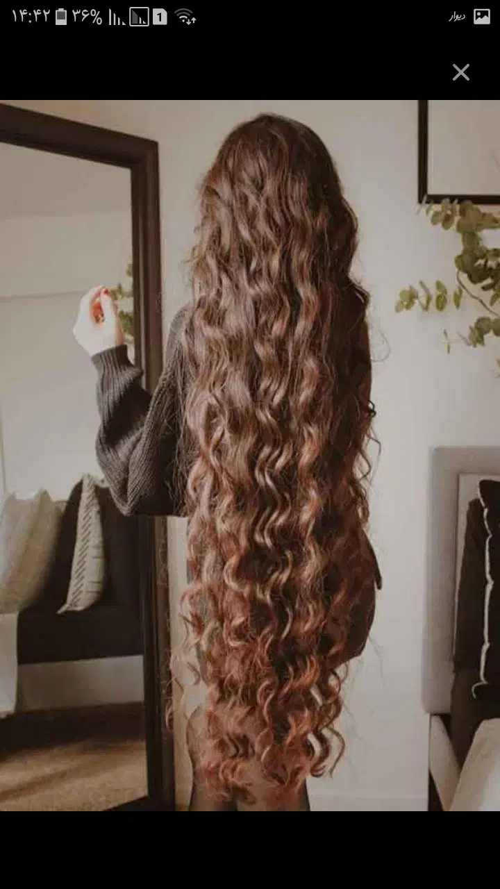 مو زیتونی|آرایشی، بهداشتی، درمانی|خرم‌آباد, |دیوار