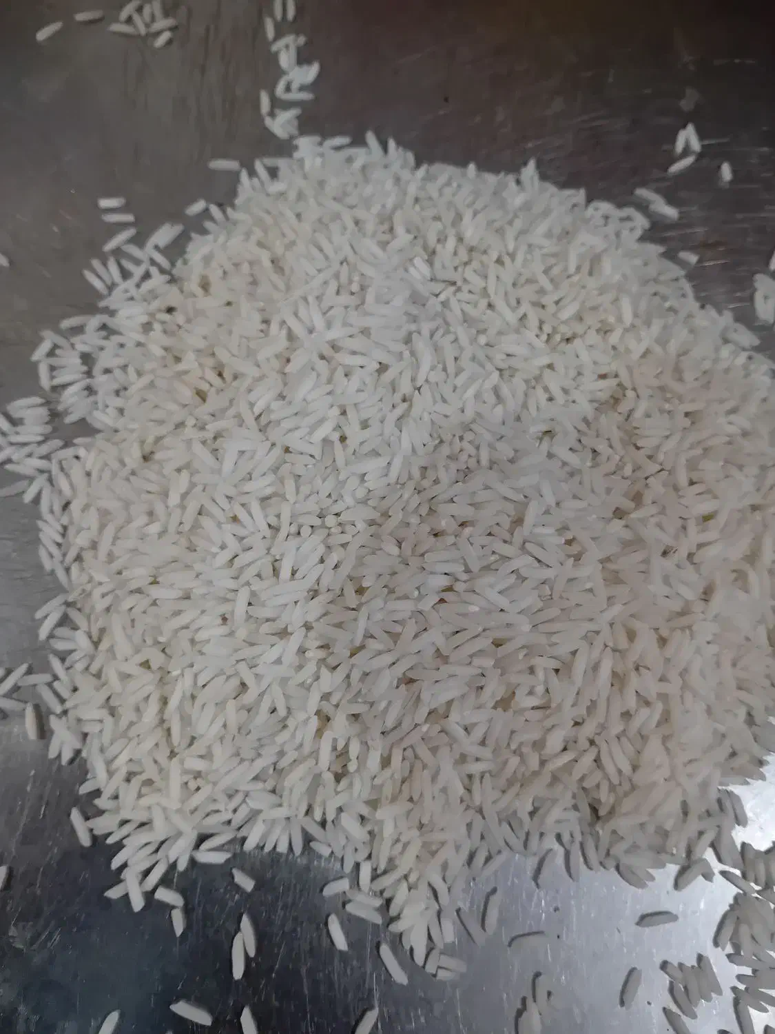 جمشید برنج|خوردنی و آشامیدنی|لاهیجان, لاشیدان|دیوار