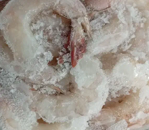 میگو|خوردنی و آشامیدنی|قشم, |دیوار