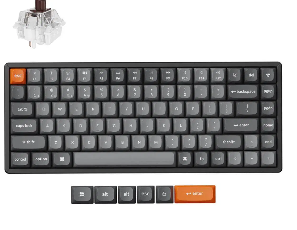 کیبورد Keychron|قطعات و لوازم جانبی رایانه|تهران, دکتر هوشیار|دیوار